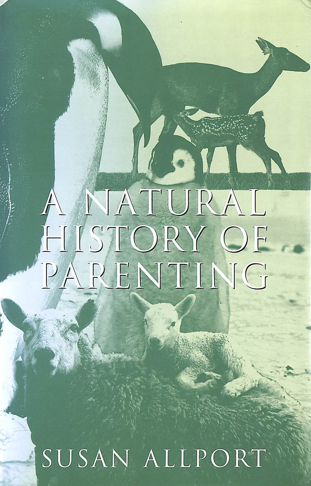 ALLPORT, SUSAN - A Natural History of Parenting: From Emperor Penguins to Reluctant Ewes, a Naturalist Looks at Parenting in the Animal World and Ours