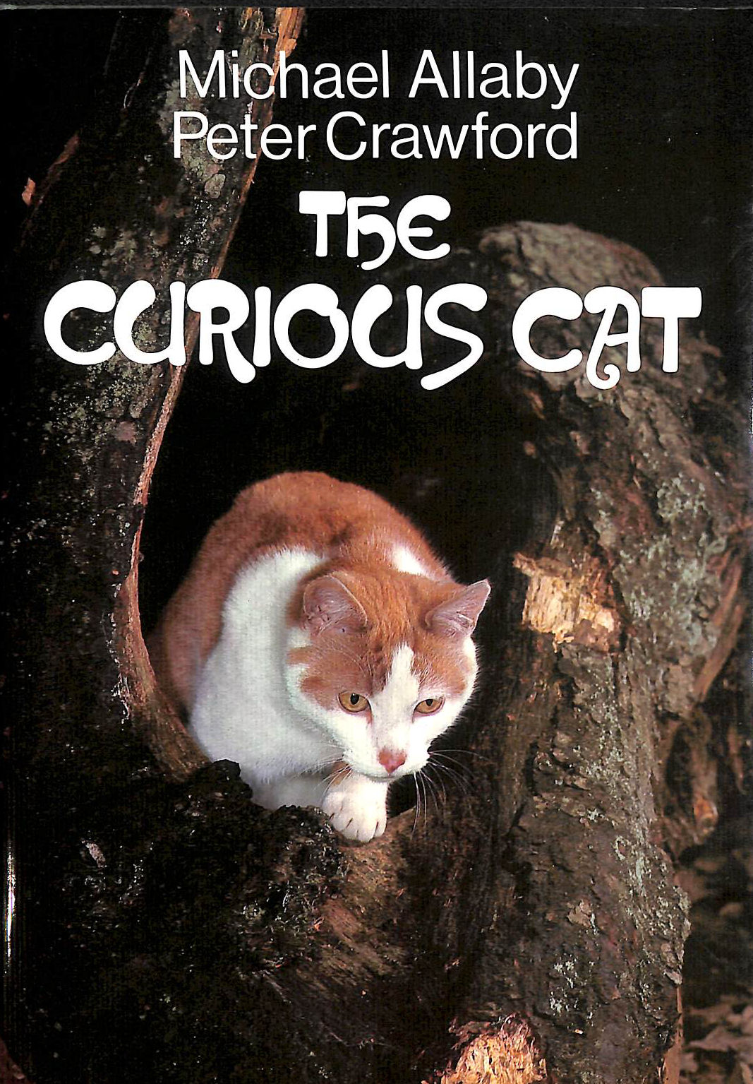 ALLABY, MICHAEL; CRAWFORD, PETER - Curious Cat