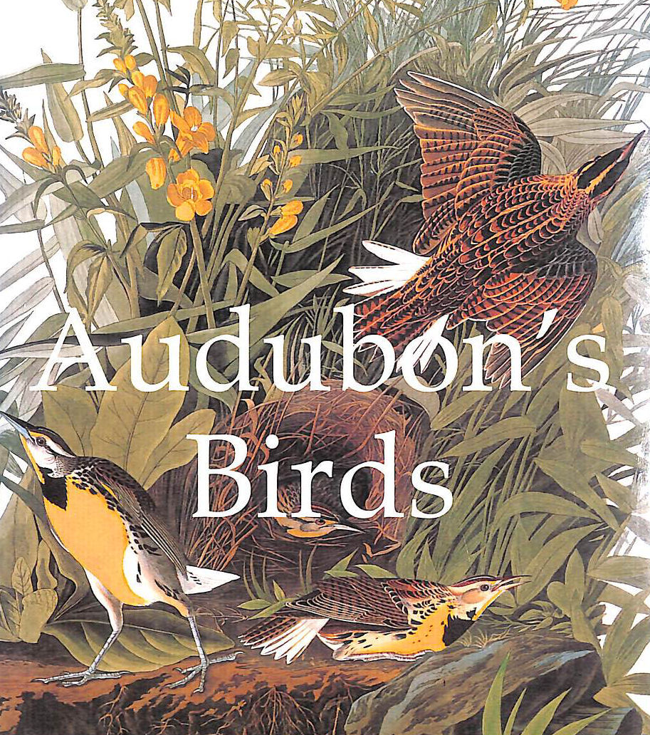 GRANGE BOOKS - Audubon's Birds (Mega Squares)