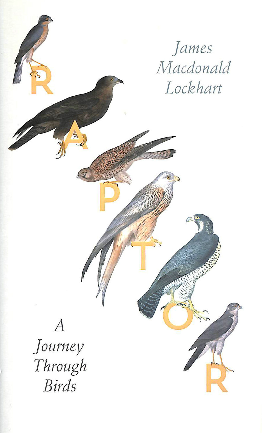 JAMES MACDONALD LOCKHART - Raptor: A Journey Through Birds
