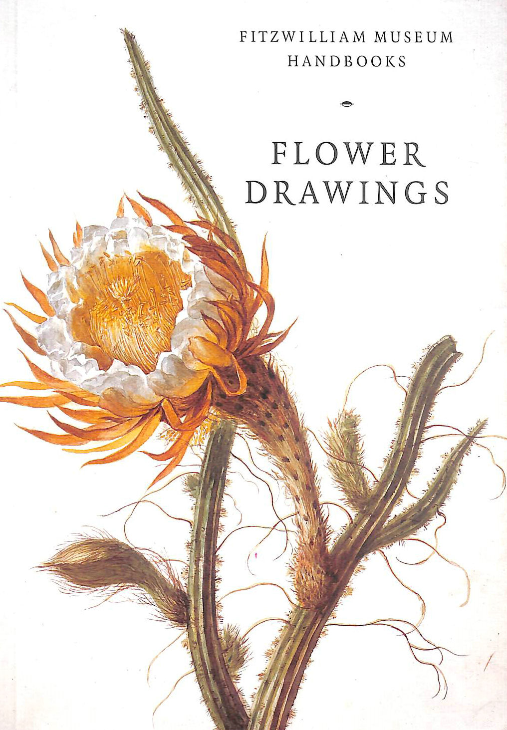 SCRASE, DAVID; MORRIS, ANDREW [PHOTOGRAPHER] - Flower Drawings (Fitzwilliam Museum Handbooks)