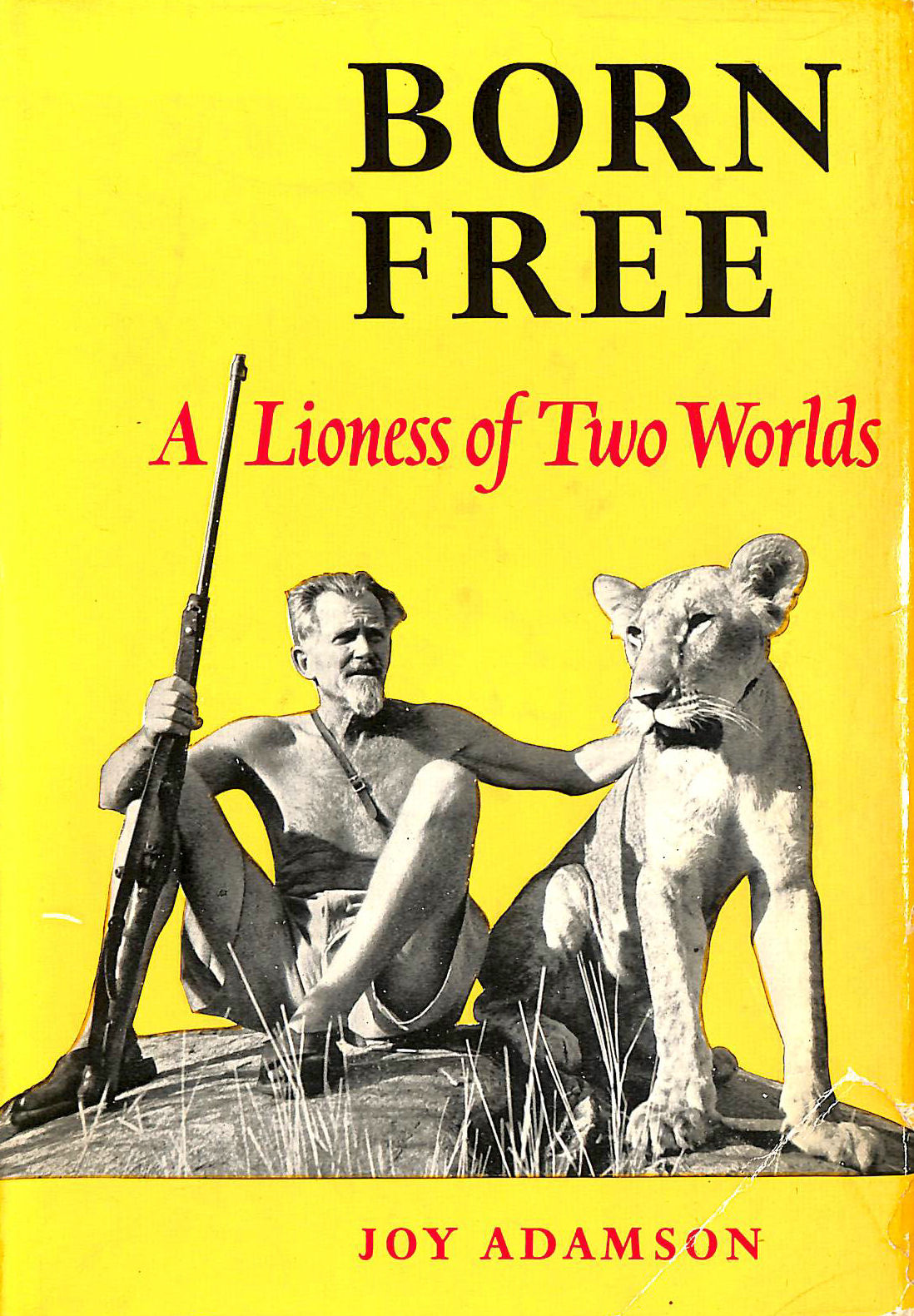 JOY ADAMSON - Born Free. A Lioness of Two Worlds.