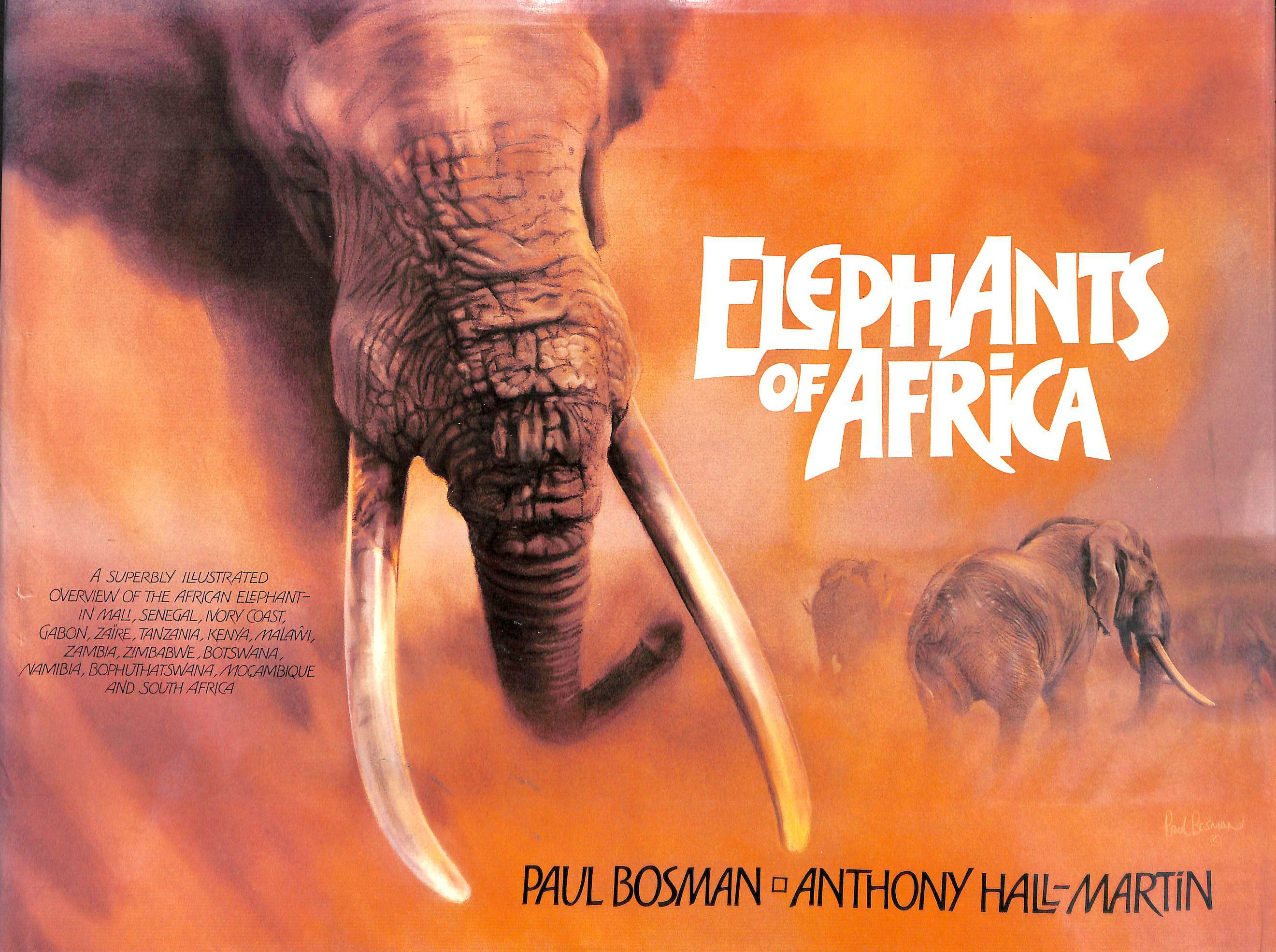  - Elephants of Africa